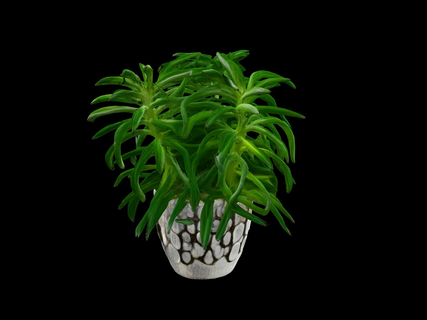 Potted plant scanned into a downloadable 3D model